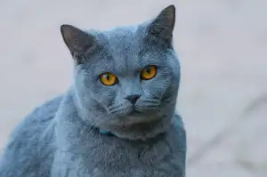Rekvalifikační Kurz Instalatér