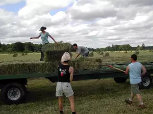 Farmář Hledá Ženu Účastníci